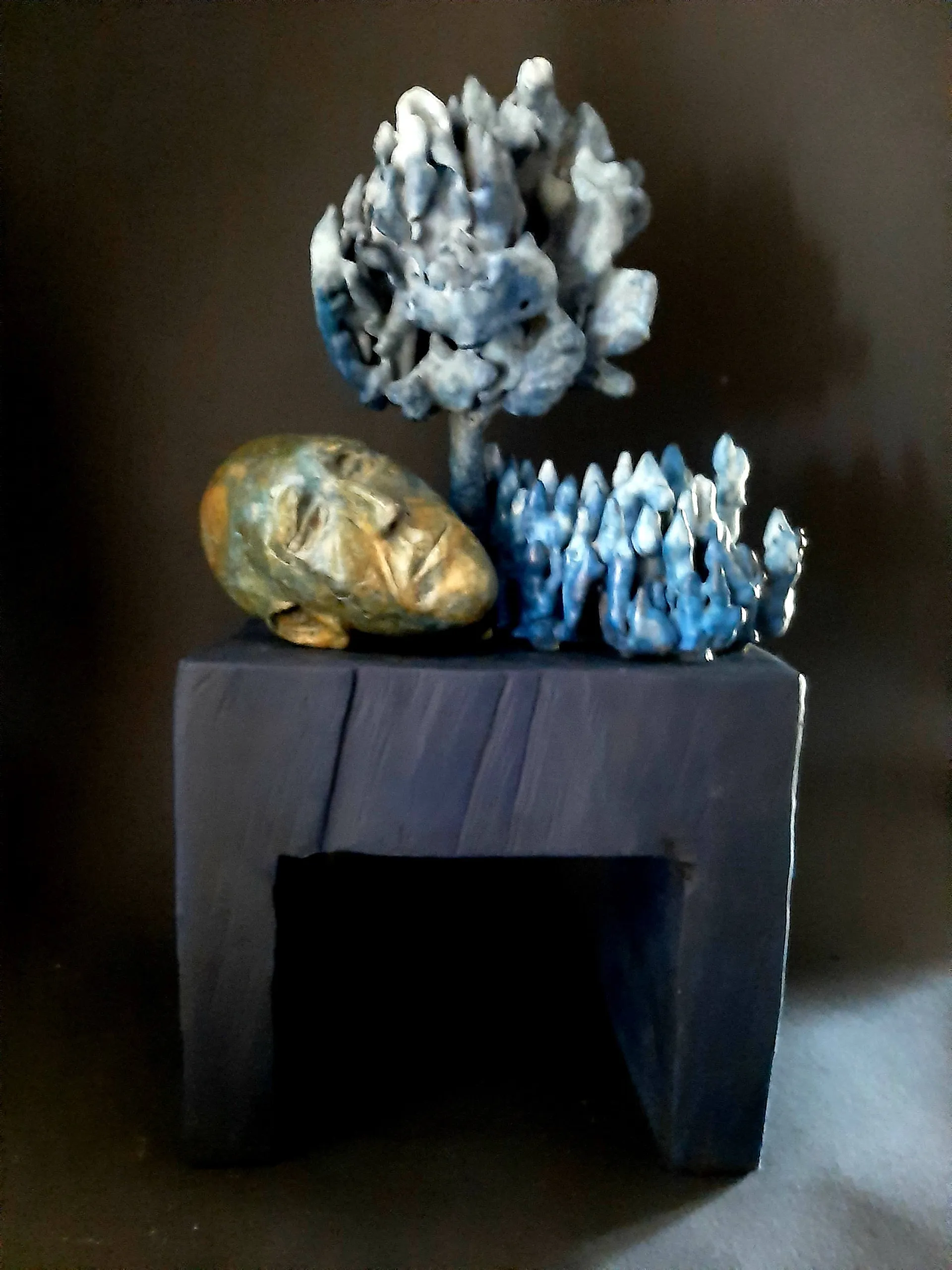van veggel blue shadow kopie