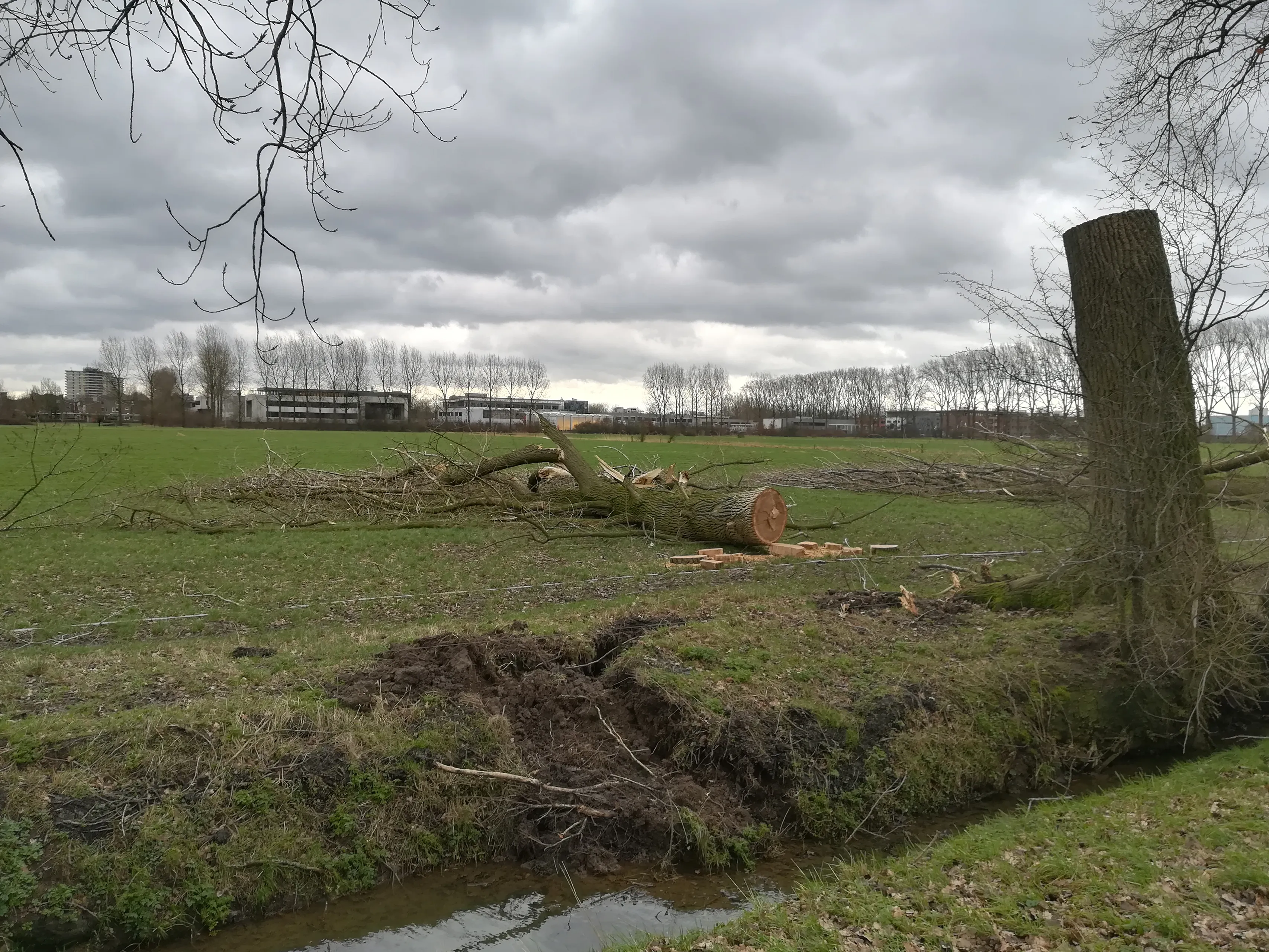 wageningen after the storm of 18 januari 2018 3