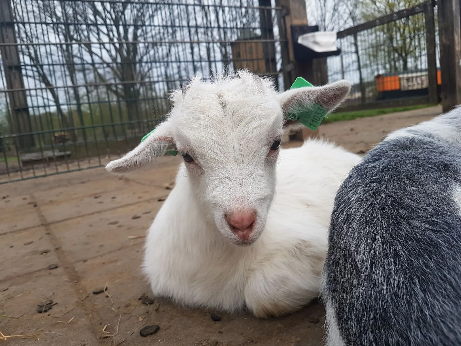 whatsapp image 2018 05 10 at 003653 1