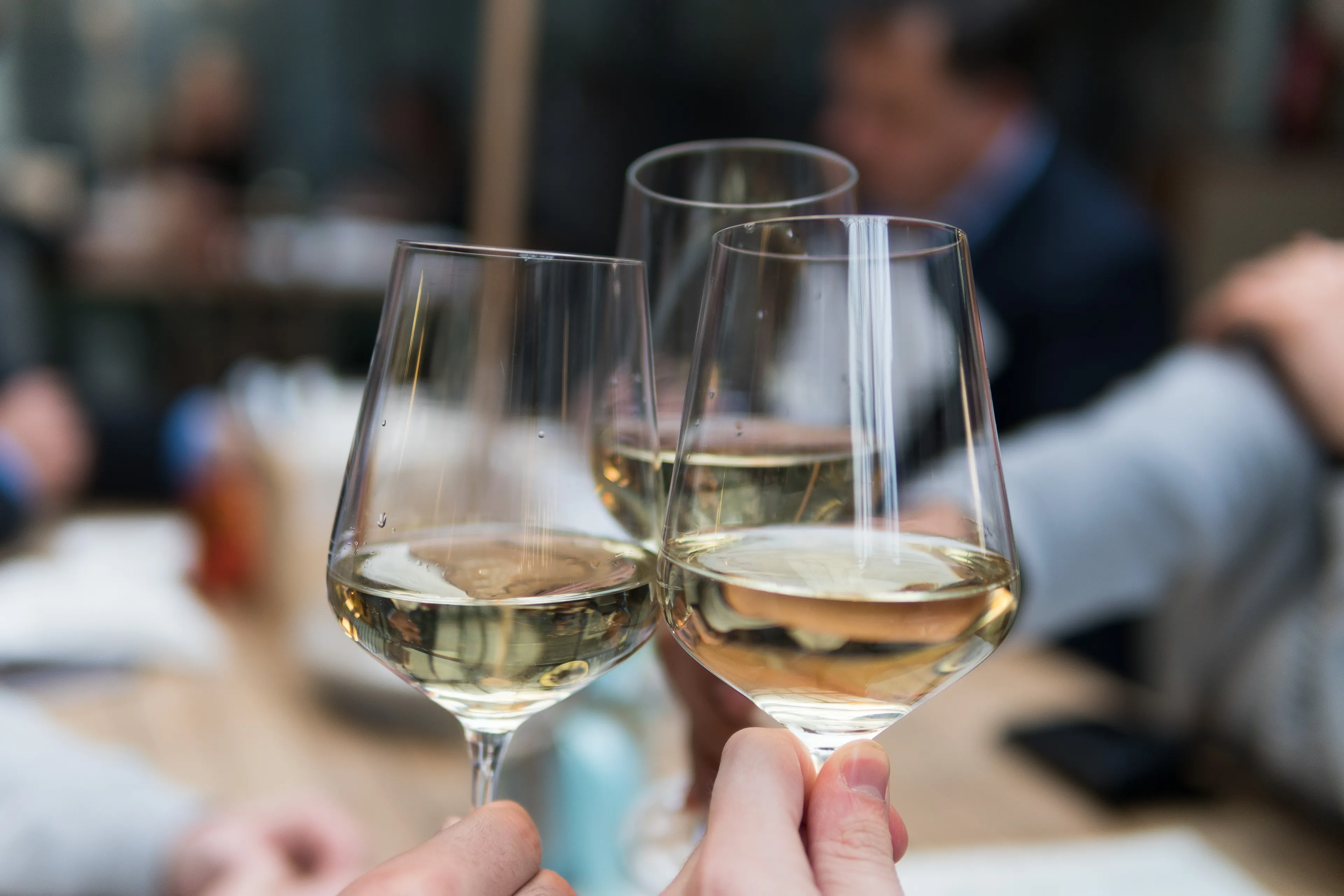 wijnfestival op dronk in venlo