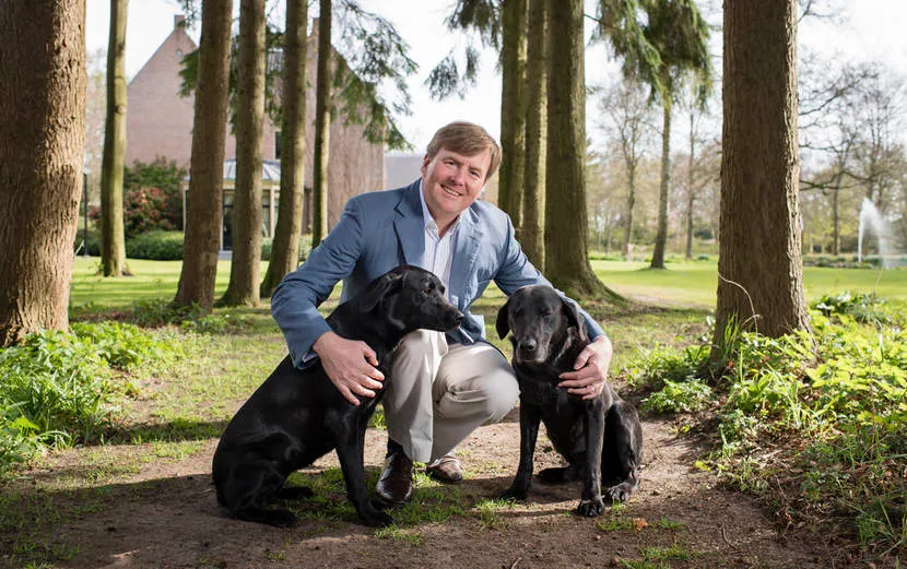 zijne majesteit koning willem alexander met de honden skipper en nala