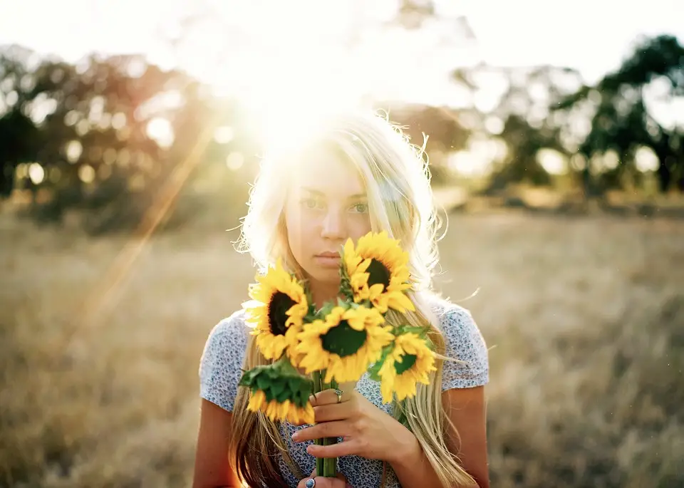 zon zonnebloemen