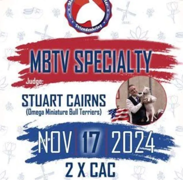 mbtv