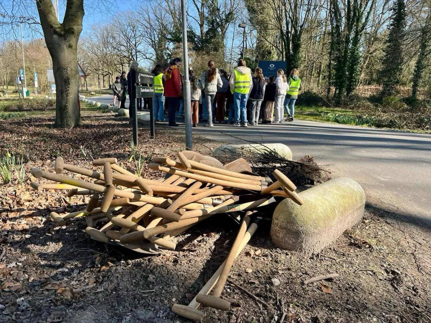 afbeelding boomfeestdag