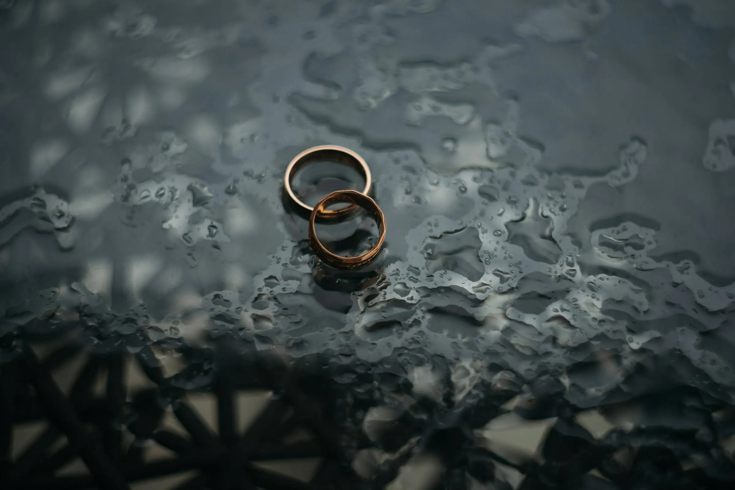 zoriana stakhniv puvghybgzn8 unsplash