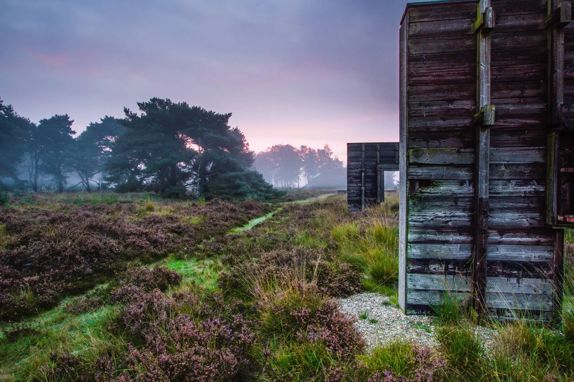 20251122 - Ontdek de Groote Heide en Het Jammerdal tijdens - Peter van der Schans