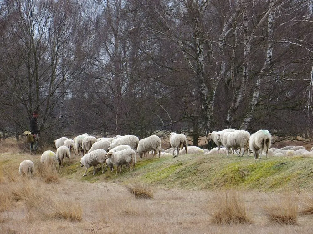 Natuur onder de loep -Piet Fleuren