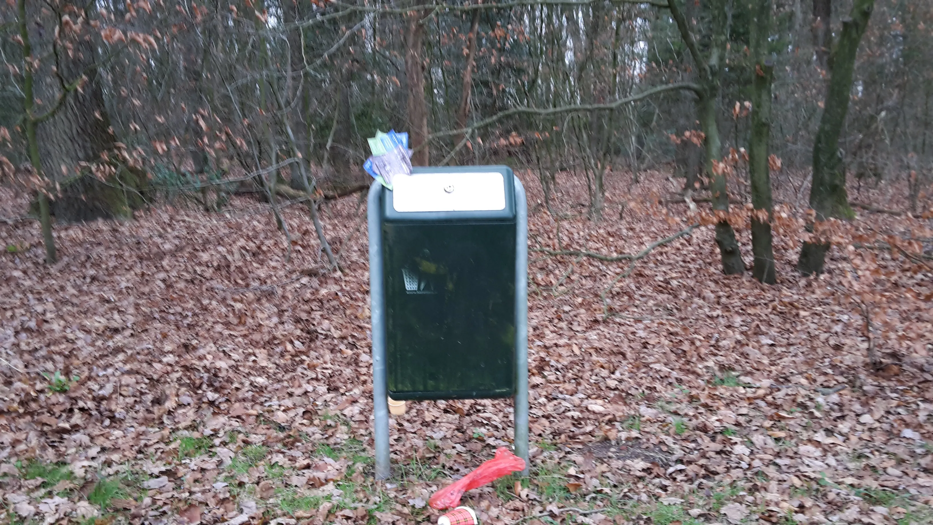 20151229 144318