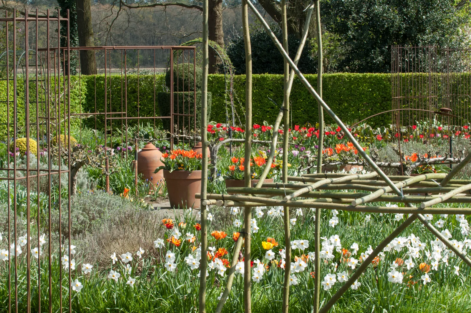 21 lentemarkt 3 tvp0292