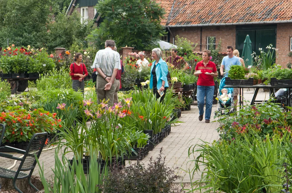 36 dahlia en tuinbrocante markt 002