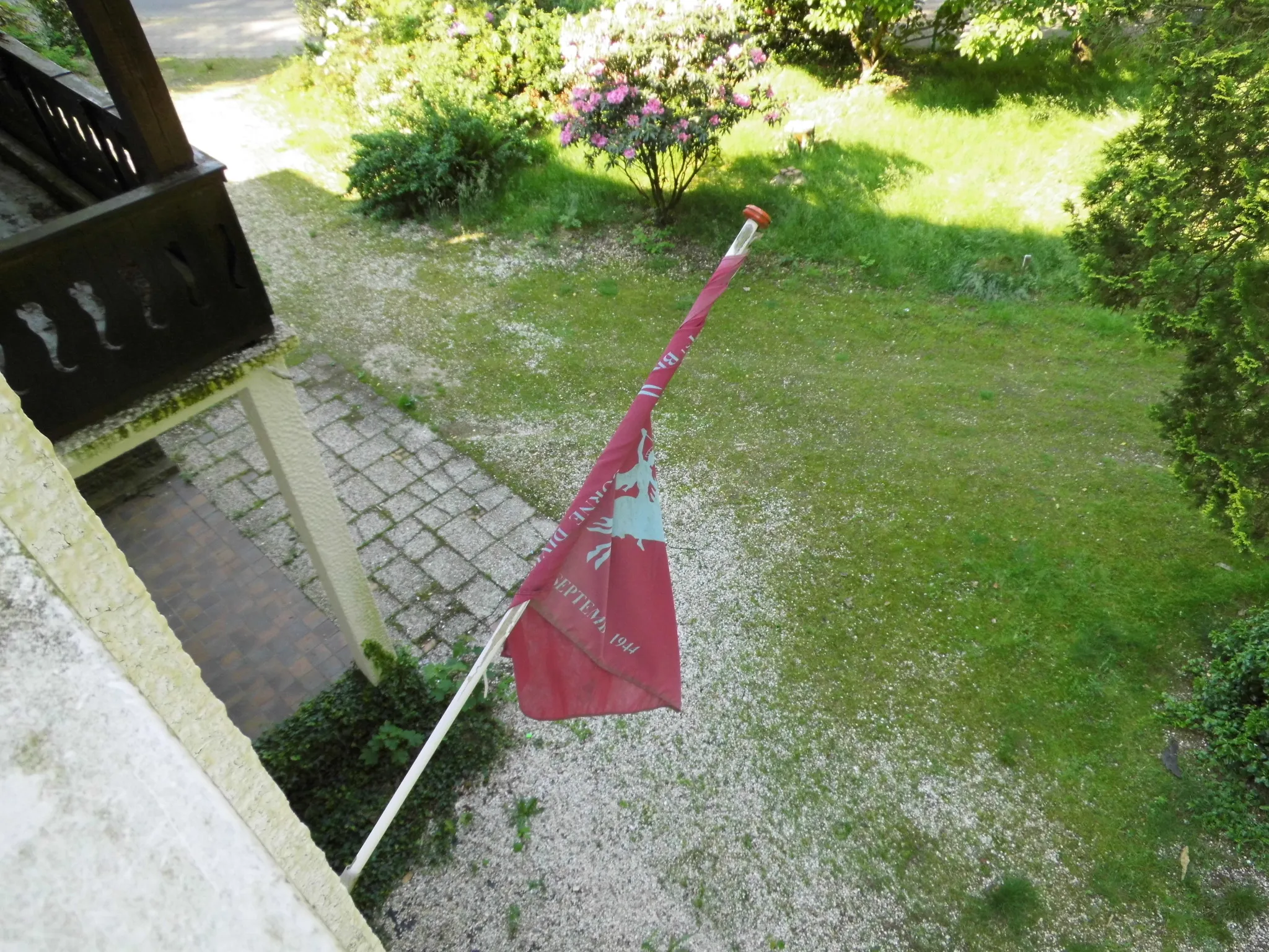 algemeen 0241