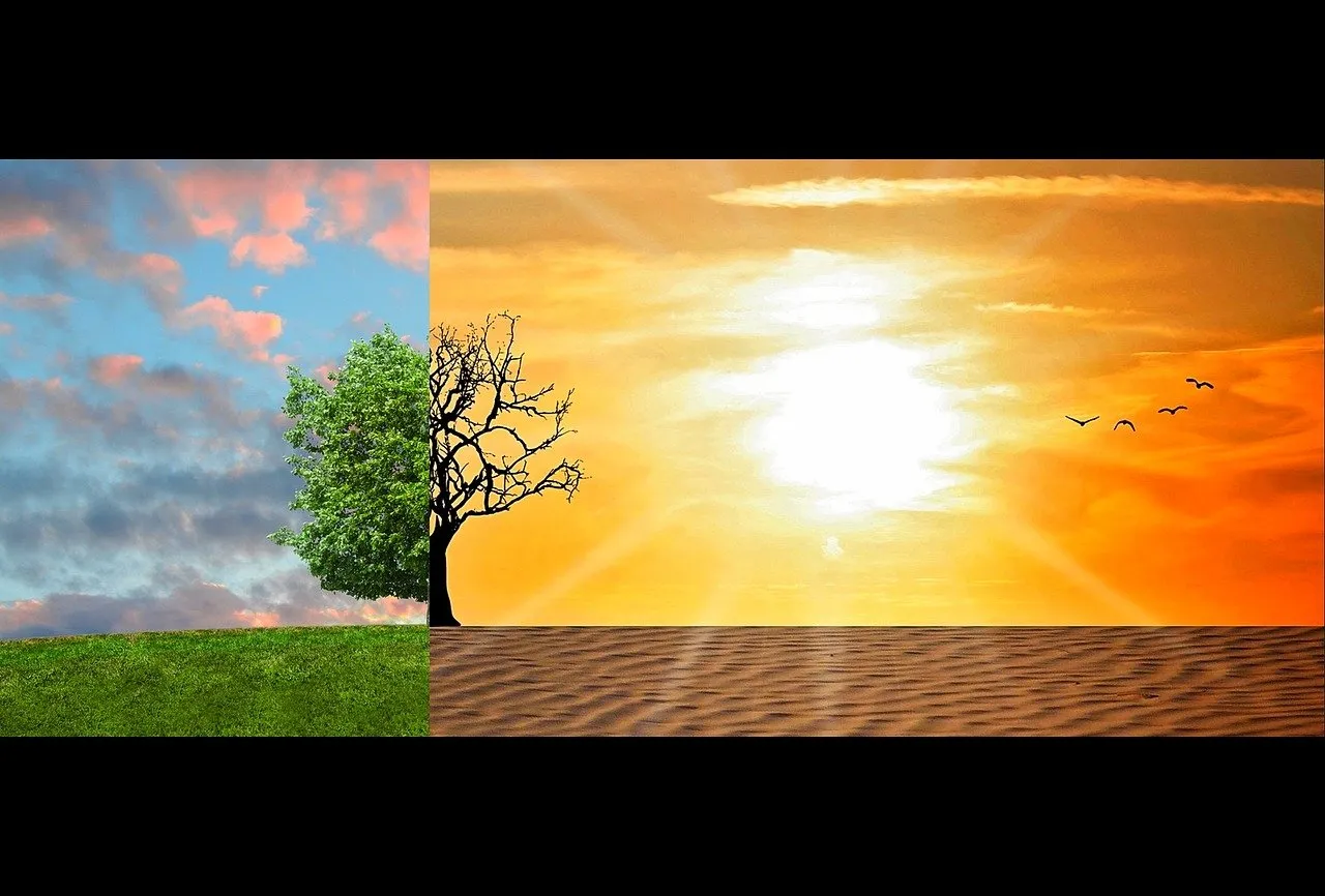 climate change tumisu pixabay