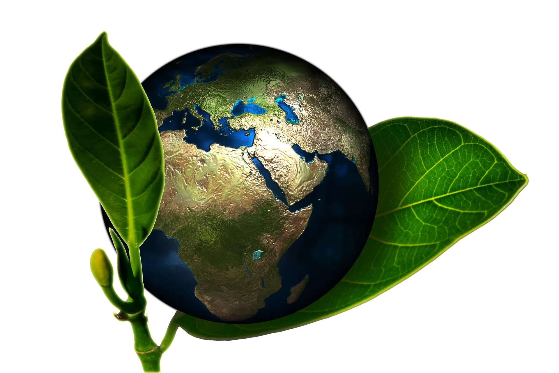 de aarde gerd altmann pixabay
