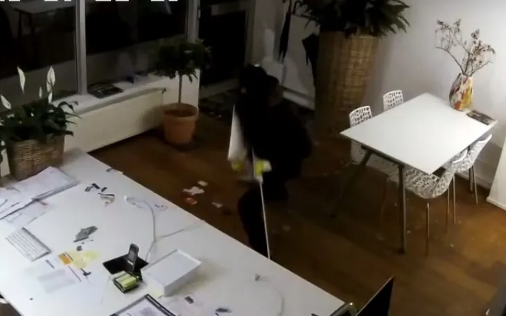 inbraak t mauritshuis