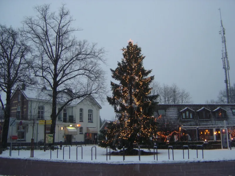 kerstboom wolfheze