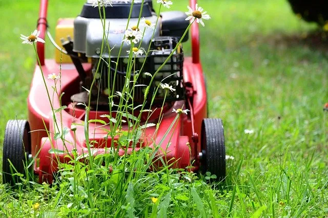 lawn mower g30aa832b0 640