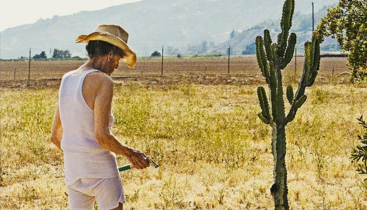 lucky st 1 jpg sd low