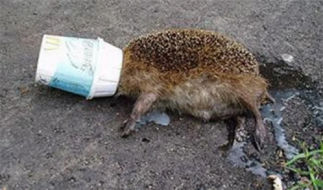 mcd bekertje2