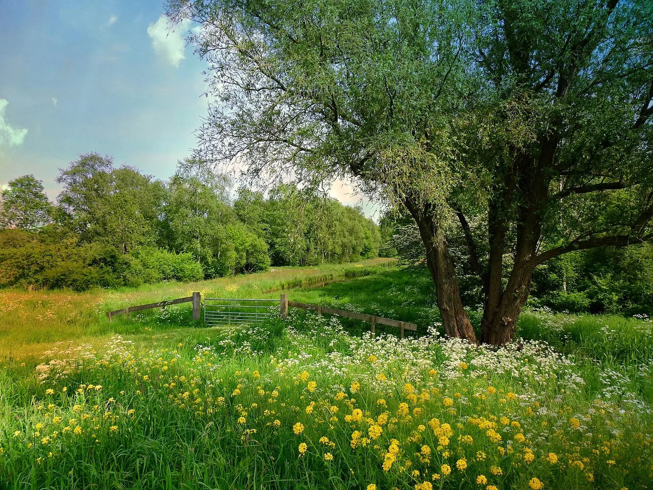 nederlands landschap mabelamber pixabay