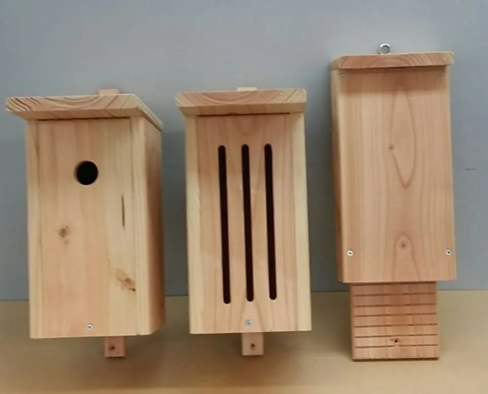 nestkastjes