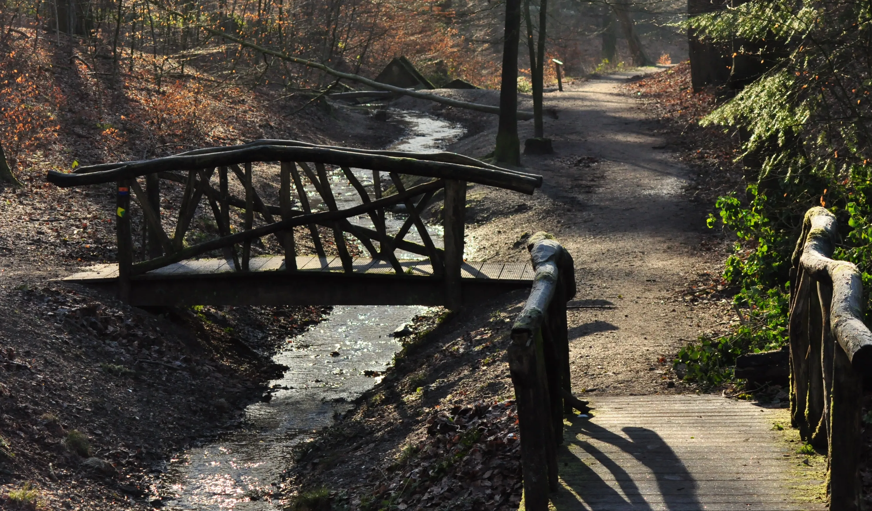 oosterbeek terug naar woii foto ellie koenders