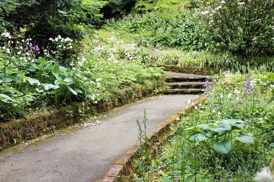 park tuin jjekafluf pixabay