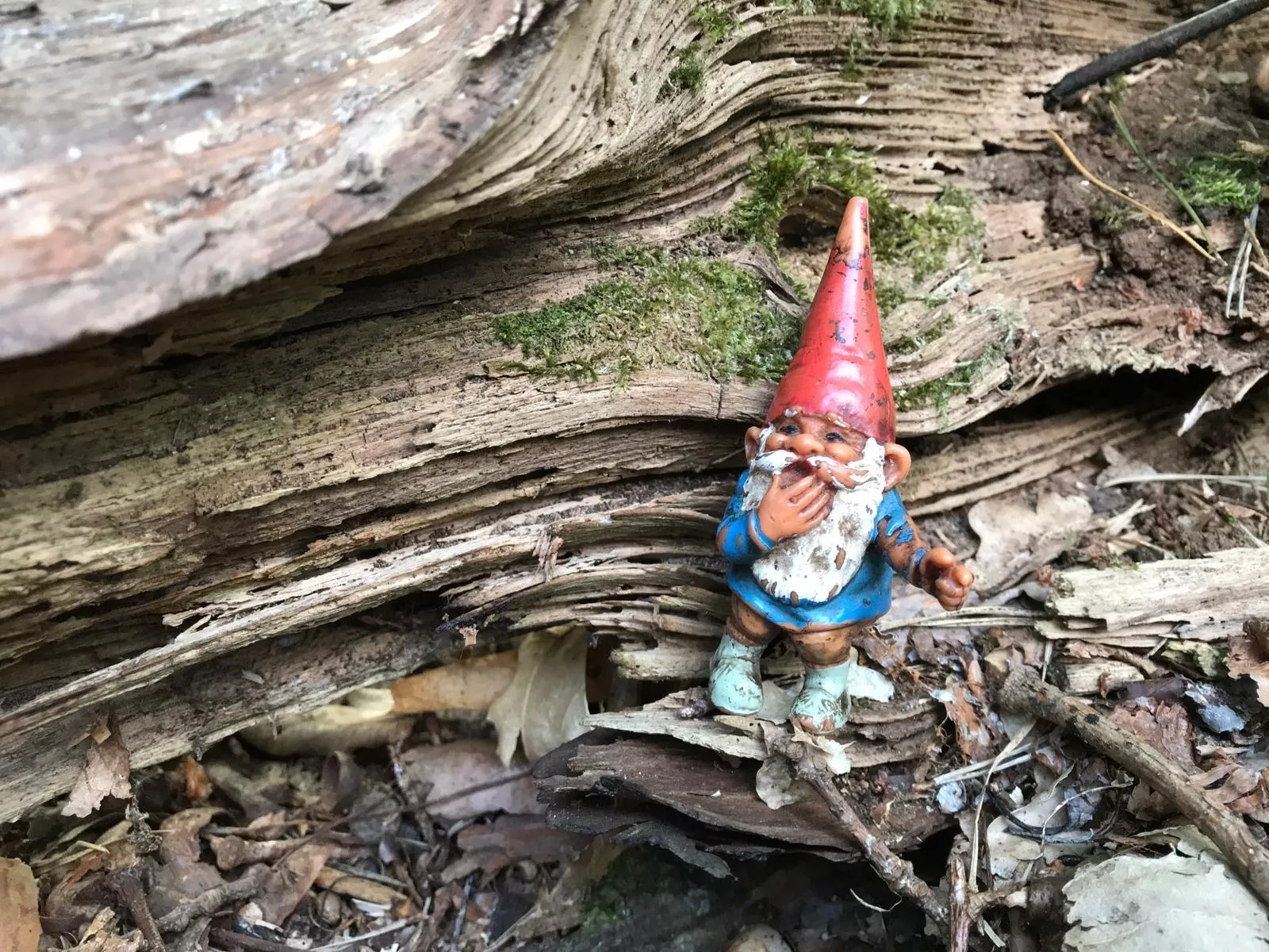 photo 2019 05 08 12 50 39