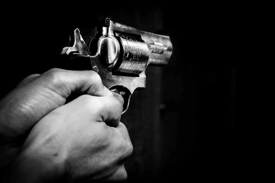 pistool skitterphoto pixabay