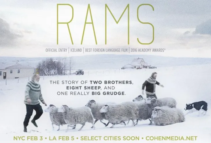 rams