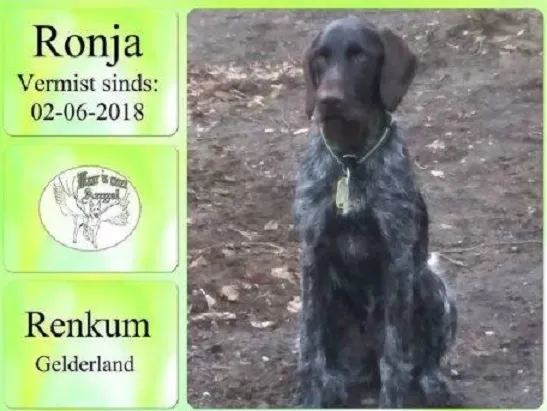 ronja 2