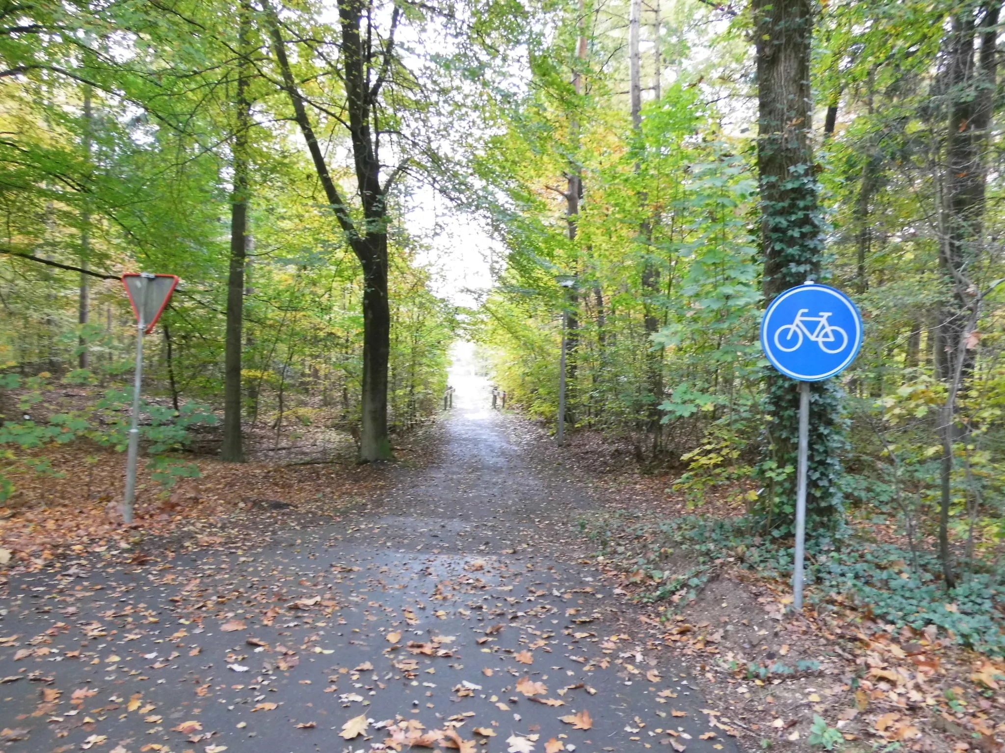 sportpark bilderberg 2