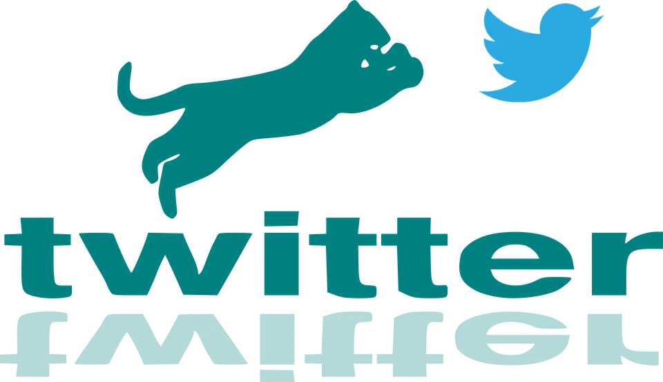 twitter habergibitv pixabay