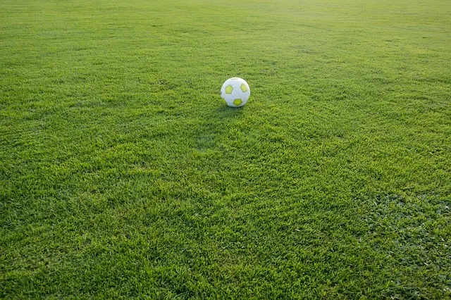 voetbal op veld