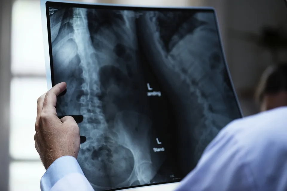 x ray rawpixel pixabay