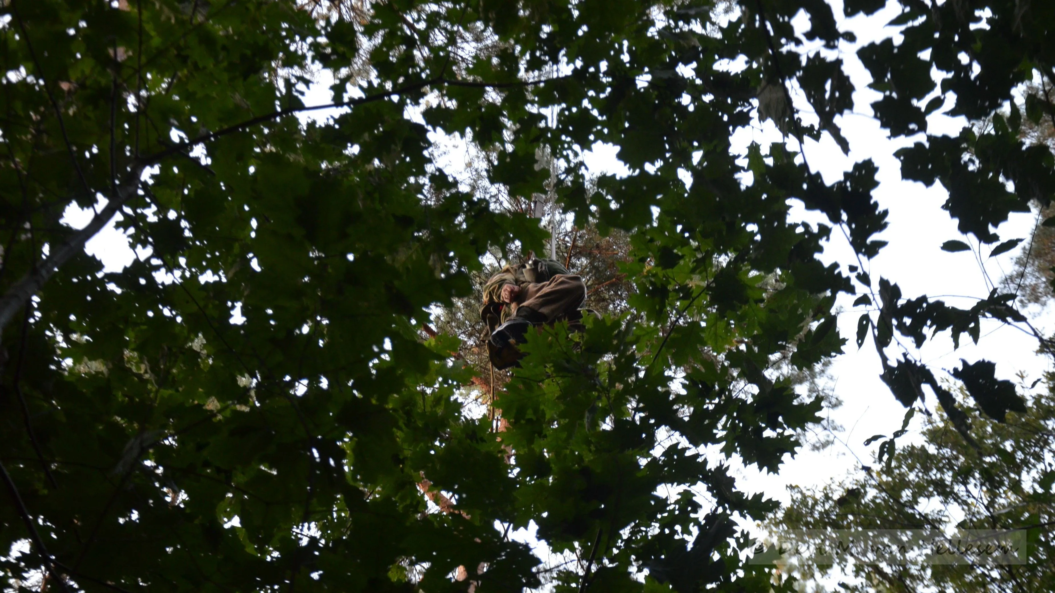 20 09 parachutist in de boom 3