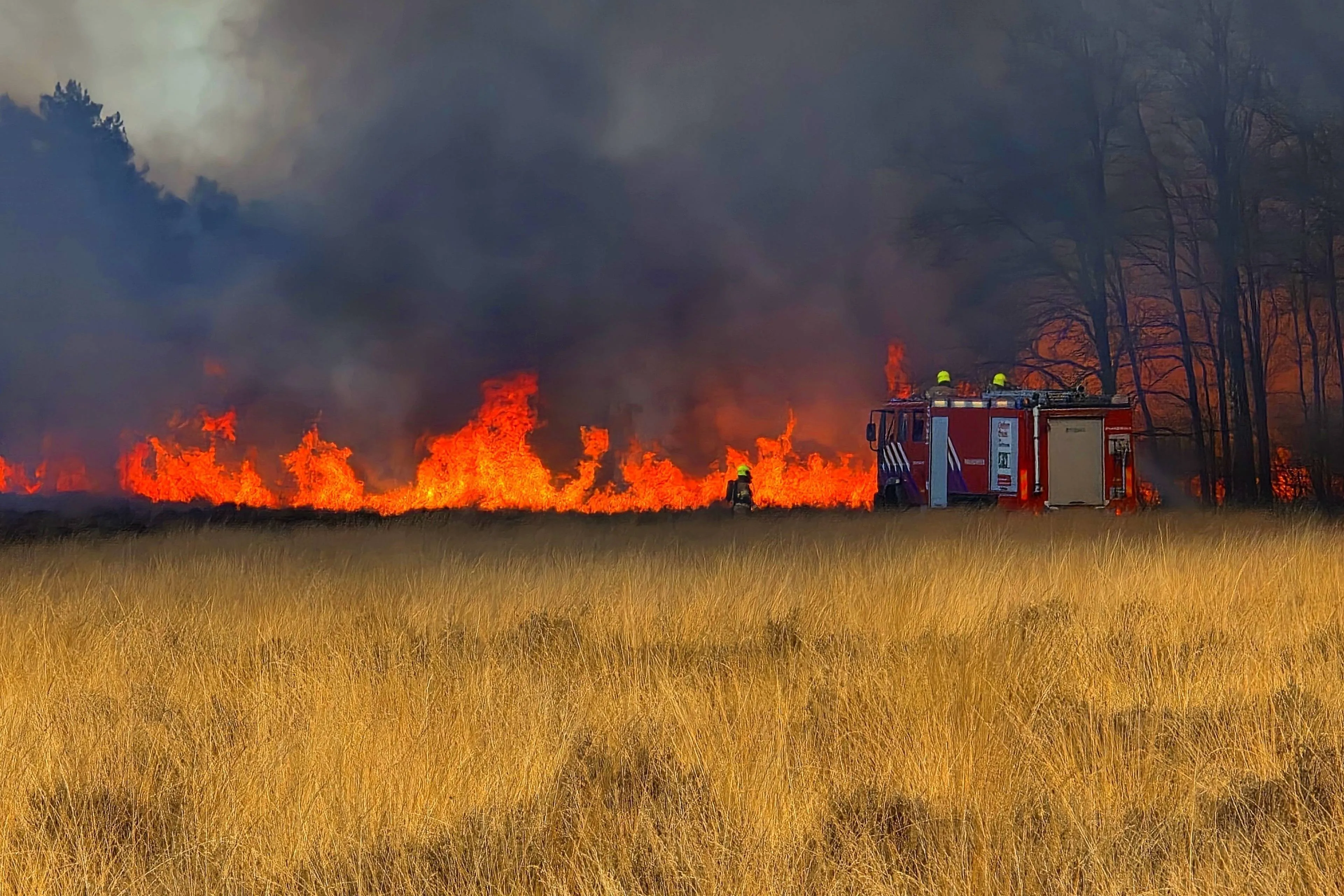 03 04 heidebrand ede