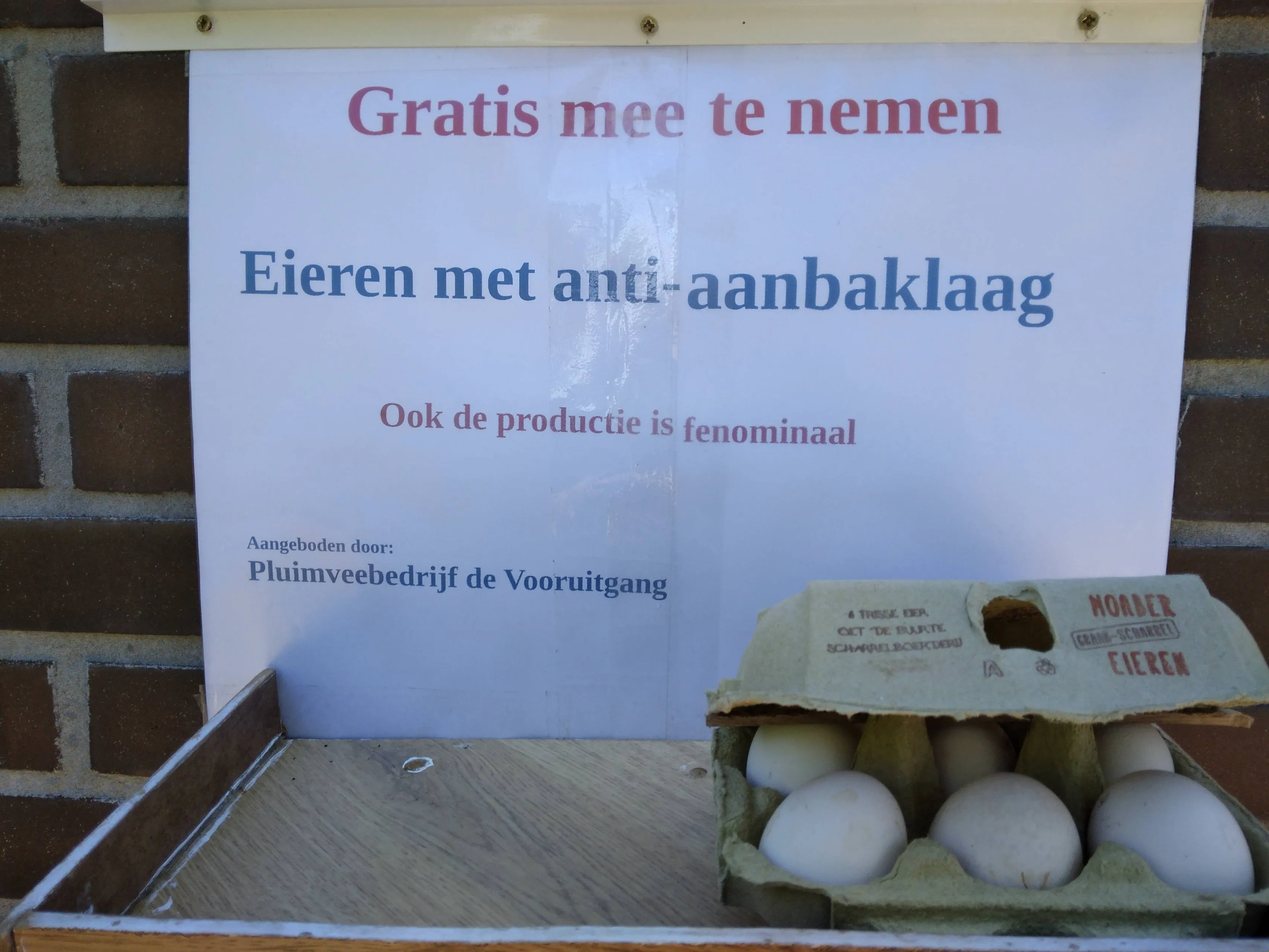 foto pfas eieren