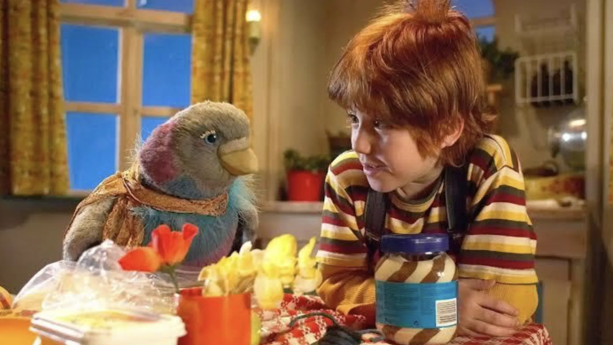 pluk van de petteflet