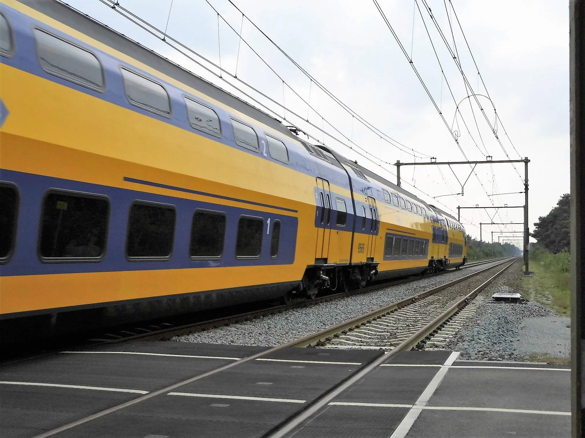 spoor-telefoonweg-wolfheze-7