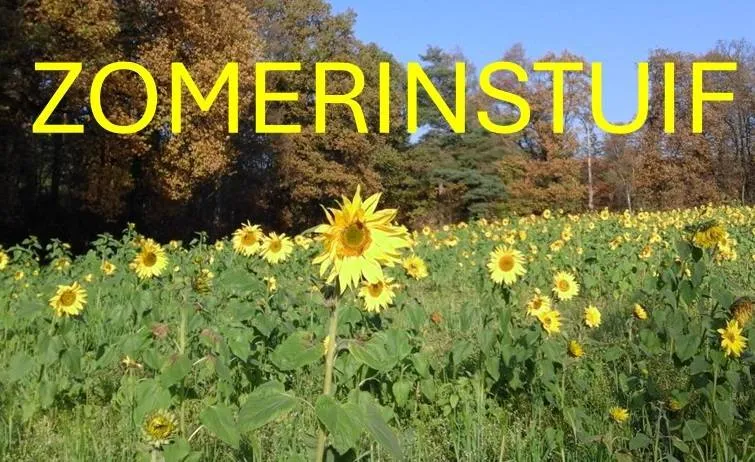 logo zomerinstuif