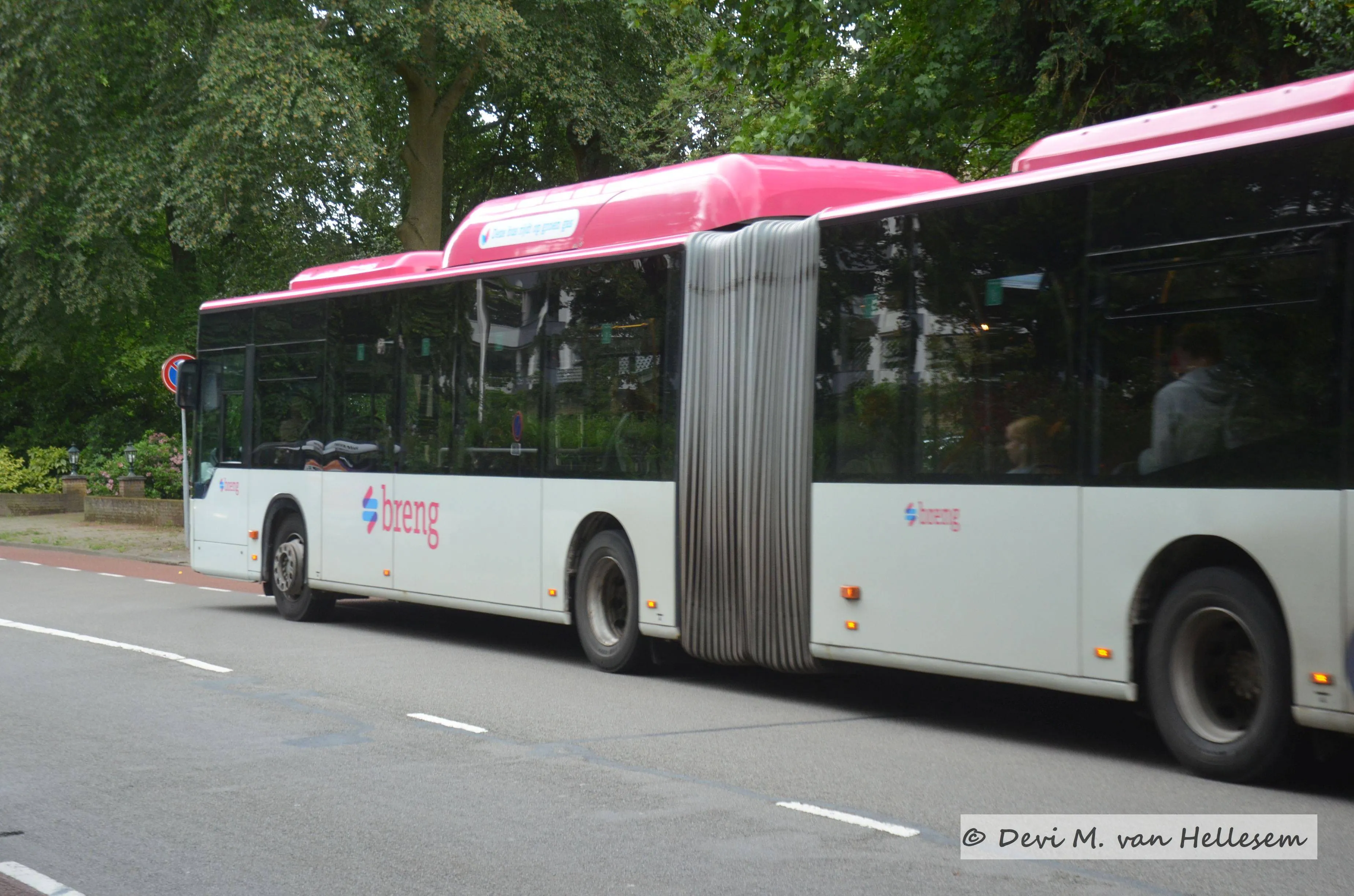 Bus (4)