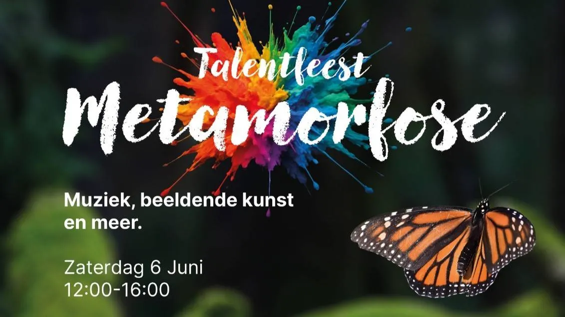 Talantfeest top