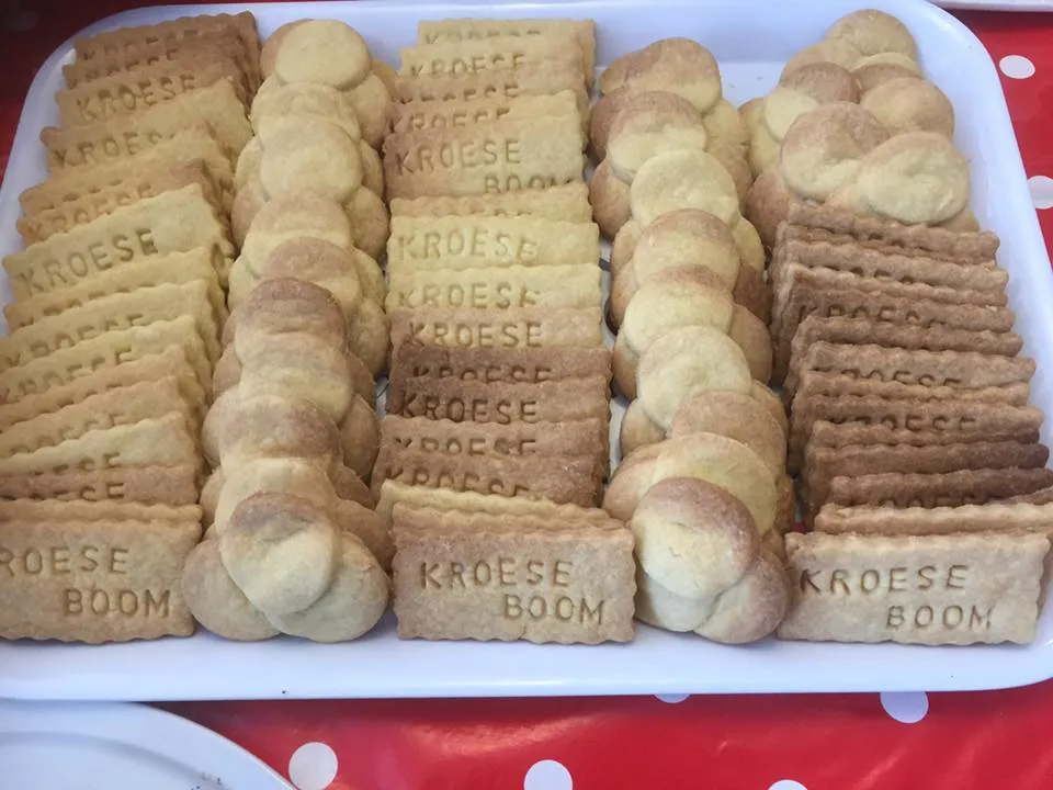 12495082 692093780893958 3941946811171193822 n