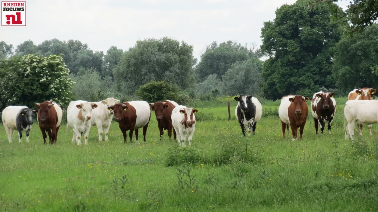 2014 05 24 ijssel natuur 005