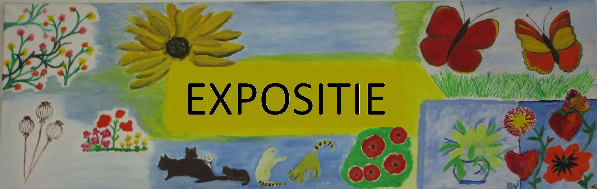 32214927 621445168207268 8372728707042770944 n