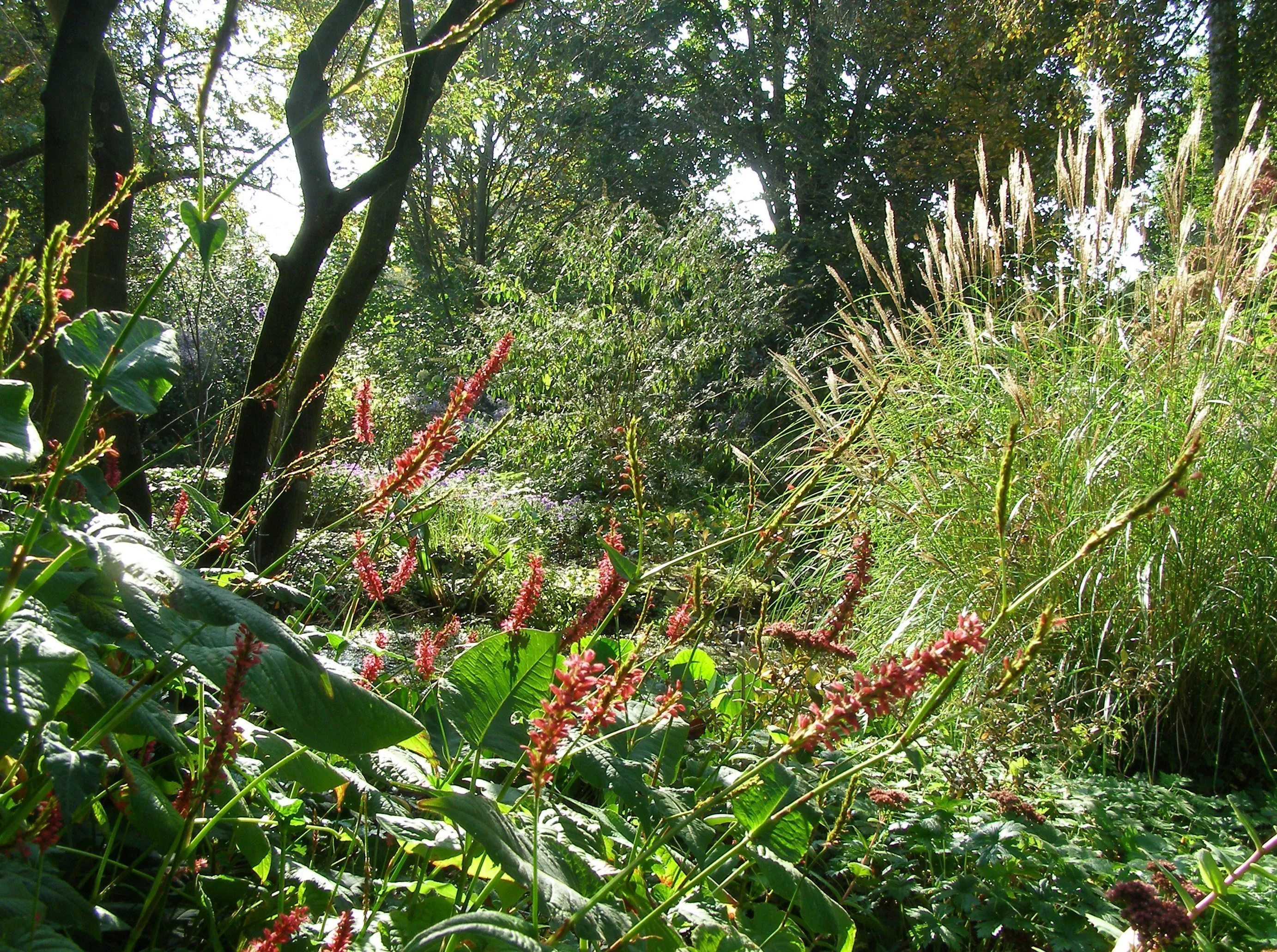 99d31aaa a2cf 41bb 9629 06480b016be3