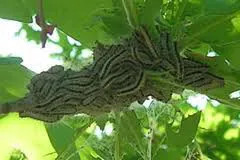 a2h39k5dt5ej1jvb9xwso9j4i eikenrups