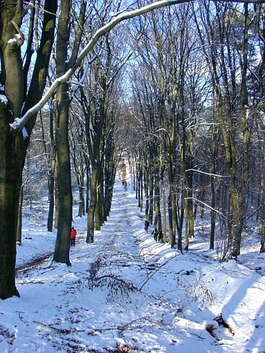 a4kxtk5w2xtud9hwuh1is1njn 116991