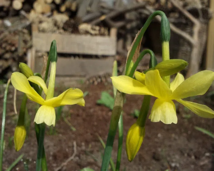 a4r0f752ii9xvg3fcik6yii1l 224778