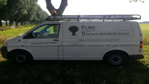 a6o4lbi9lbicvzgfpgax2tny4 flier